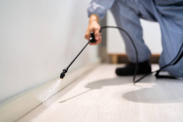 Licensed Fumigation Services service in Springdale, MD - Nex Pest Control