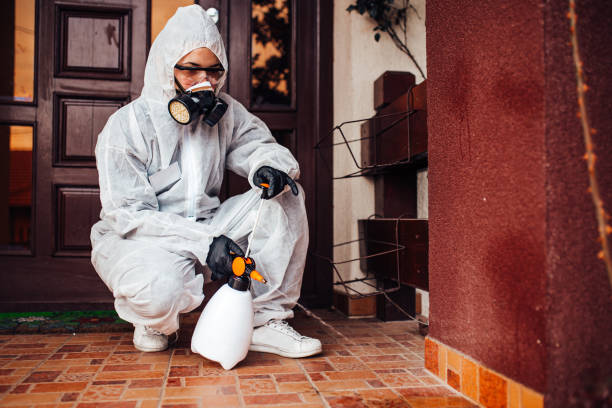 Reliable Fumigation Services contractor in Springdale, MD by Nex Pest Control
