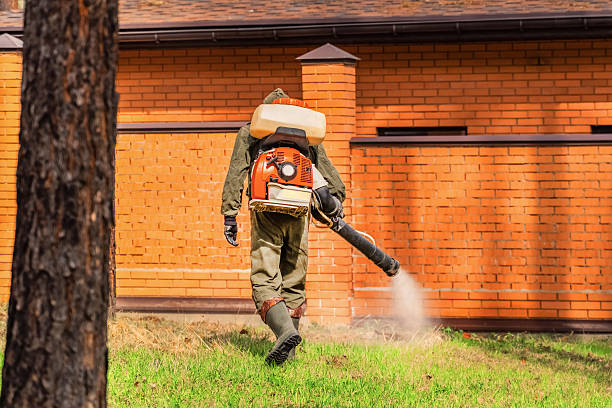 Top rated local Fumigation Services specialists in Springdale, MD